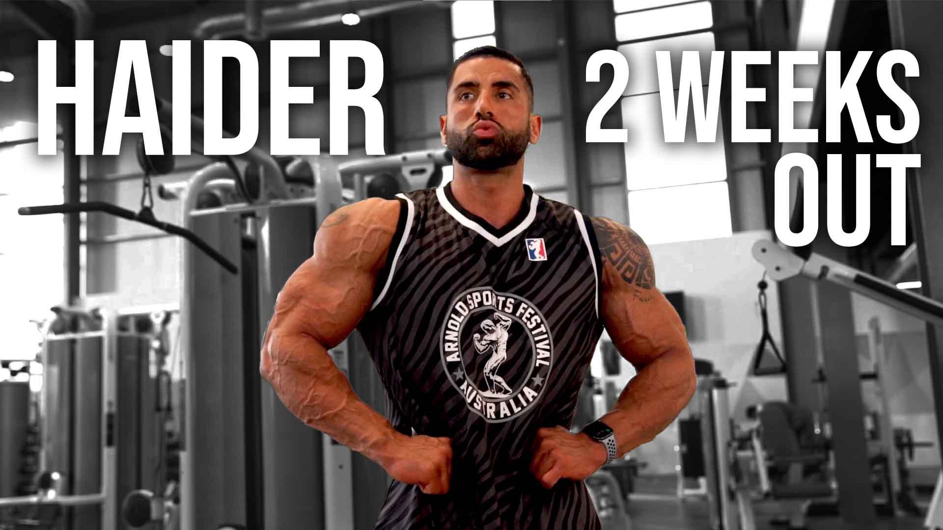 HAIDER - 2 WEEKS OUT