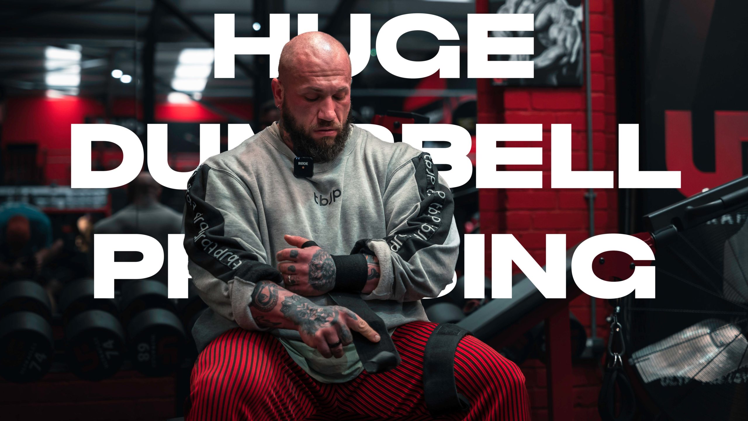 HUGE DUMBELL PRESSING