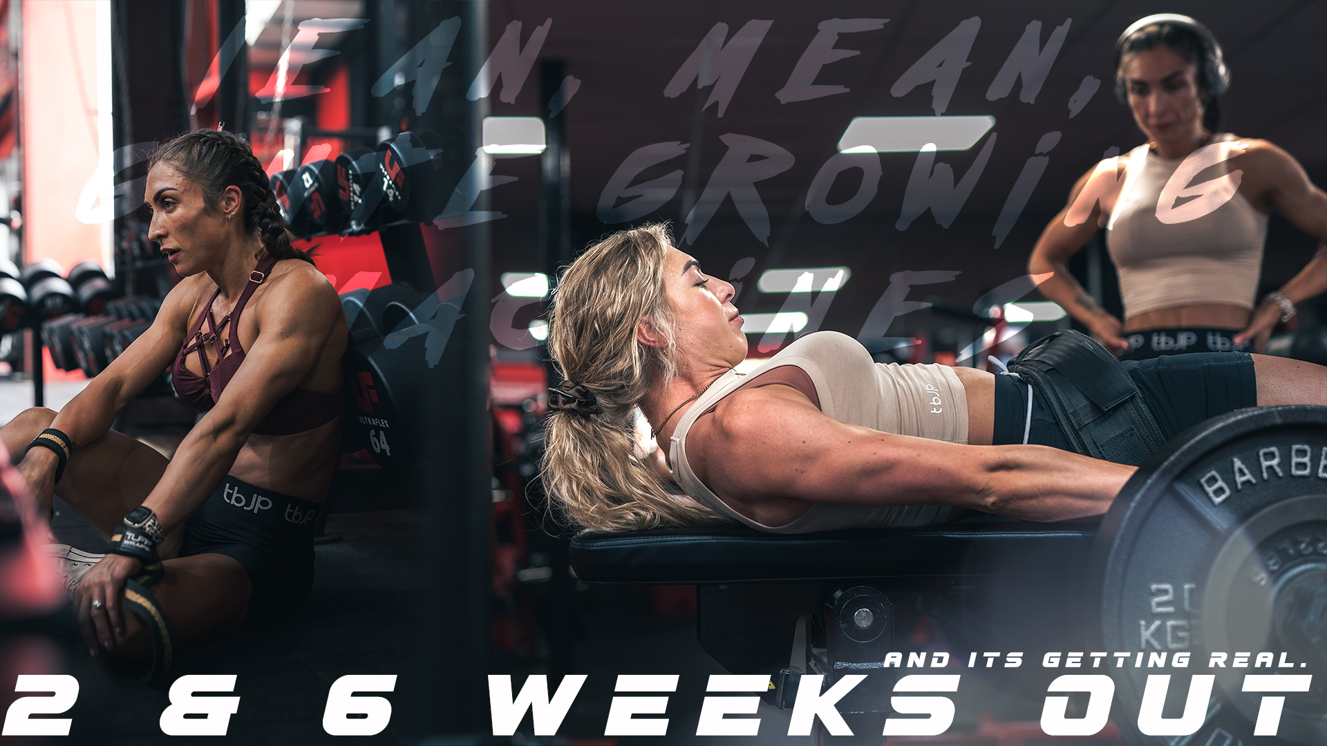 2 & 6 WEEKS OUT // PHADE