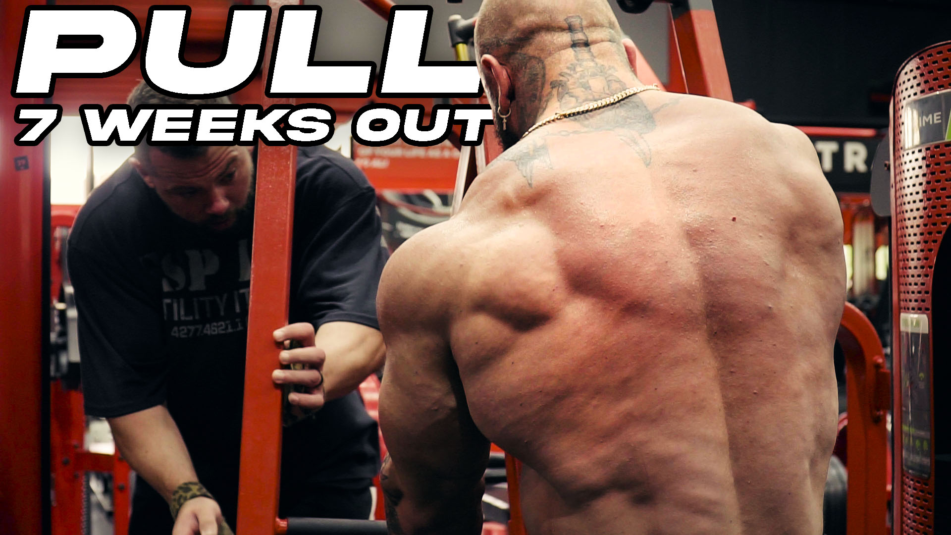 PULL // 7 WEEKS OUT