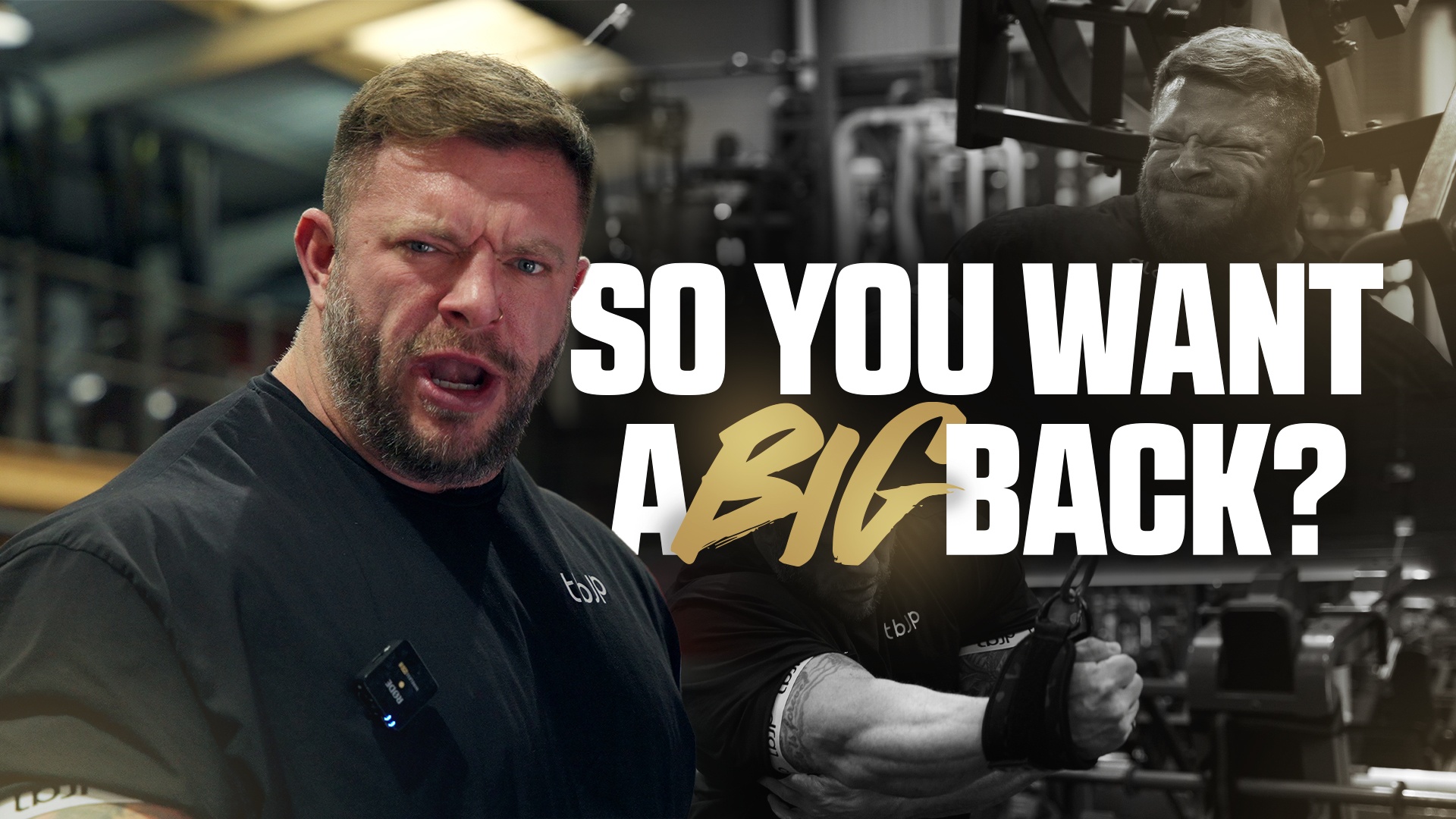 SO YOU WANT A BIG BACK?