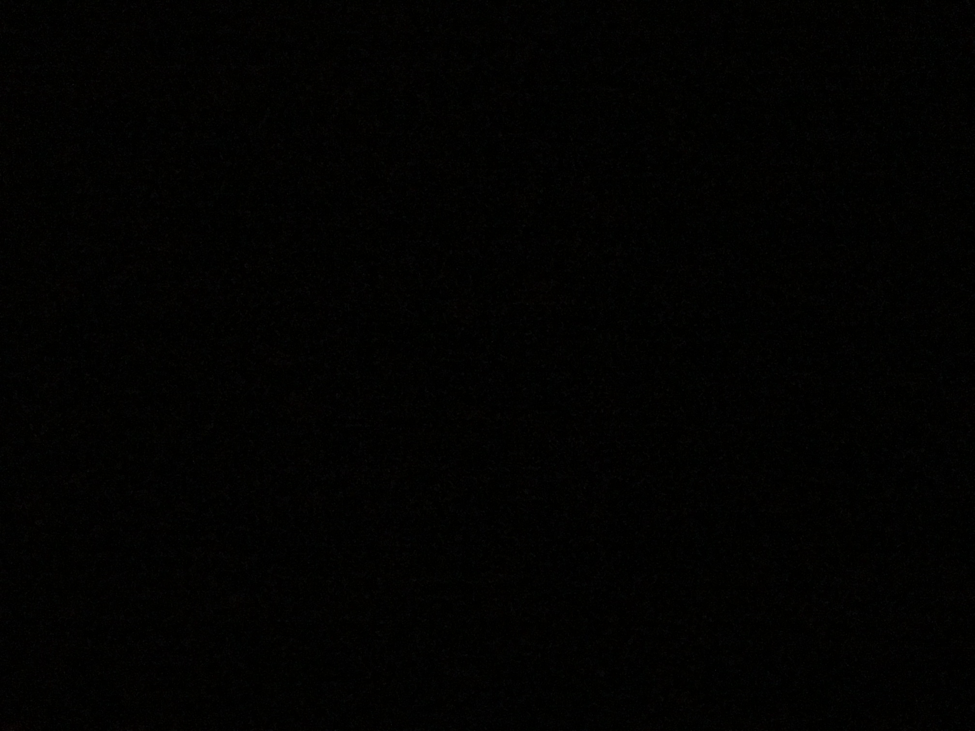 Profile photo of Vinny Scarabelli